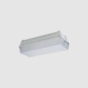 img-29-01-primax-484